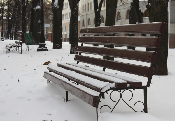 Empty bench in a winter park — Stock Photo, Image