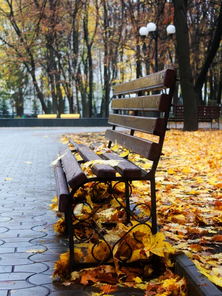 Pusta ławka w parku, jesień — Zdjęcie stockowe