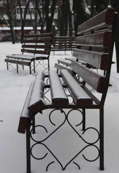 Empty benches in a winter park — Stock Photo, Image