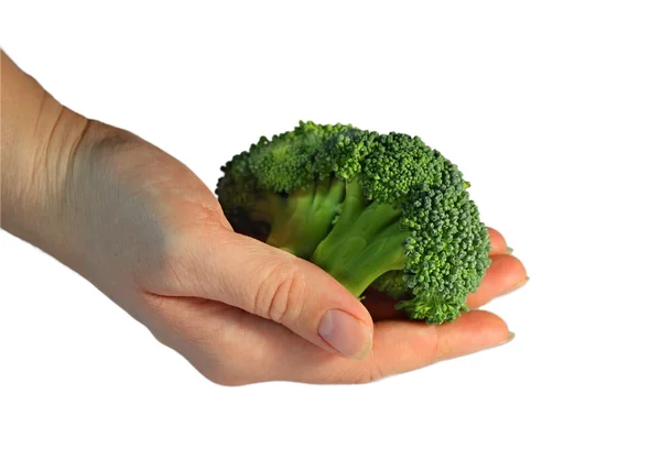 Brokolice izolovaných na bílém — Stock fotografie