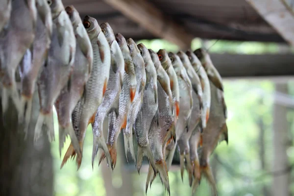 stock image Dry fish