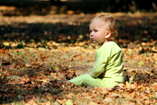 Boy on a leafs — Stock Photo, Image