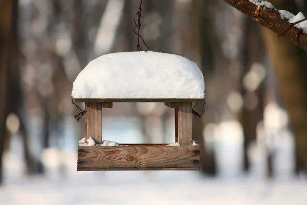 stock image Feeder for a birds