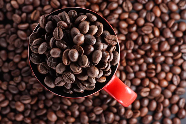 コーヒー豆付きカップ — ストック写真