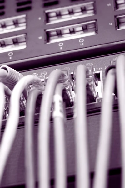 Интернет кабели — стоковое фото