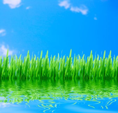 Green grass wth blue sky clipart