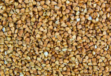 Buckwheat groats clipart