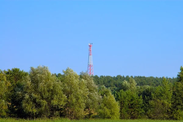 stock image Cellular communication tower in a wood