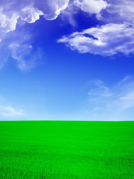 Summer landscape - green field an blue s — Stock Photo, Image