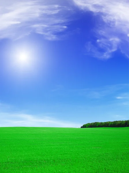 Sommar landskap - blå himmel med sol och — Stockfoto