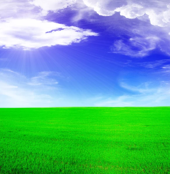 Літній пейзаж - блакитне сонячне небо — стокове фото