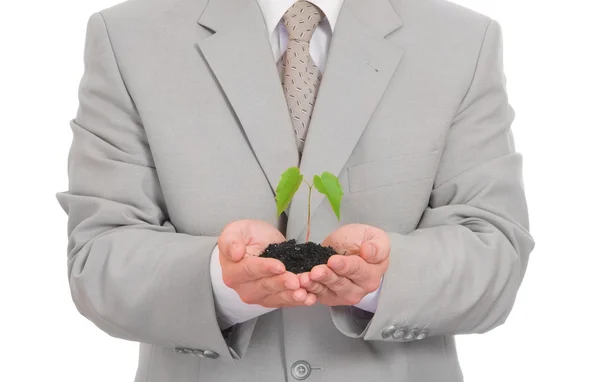 Businessman holding green plant isolated — Stock Photo, Image