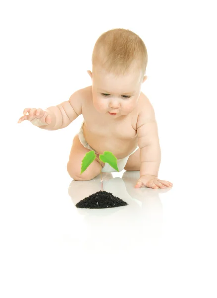 Kleines Baby mit grüner Pflanze isoliert — Stockfoto