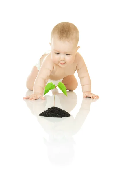 Маленький ребенок с зеленым растением изолированы — стоковое фото
