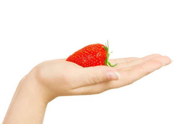 Woman palm with strawberry isolated — Stock Photo, Image