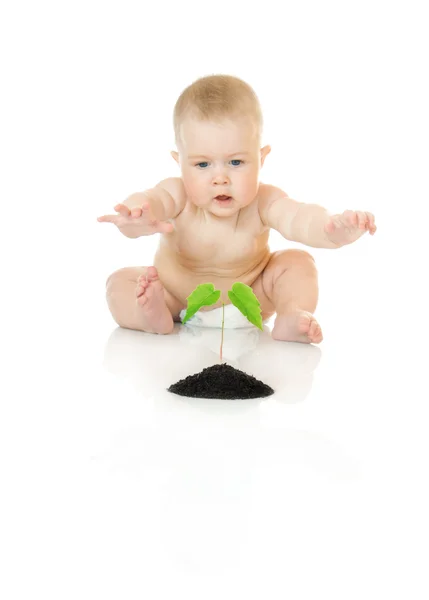 Small baby with green plant isolated Stock Photo