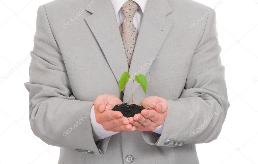 Businessman holding green plant isolated