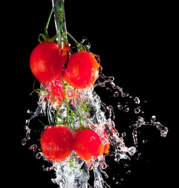 Flow of pourng water on tomato bunch iso clipart