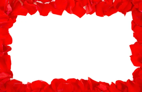 Рамка из лепестков красной розы — стоковое фото