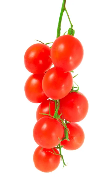 Bunch of tomatoes isolated — Stock Photo, Image