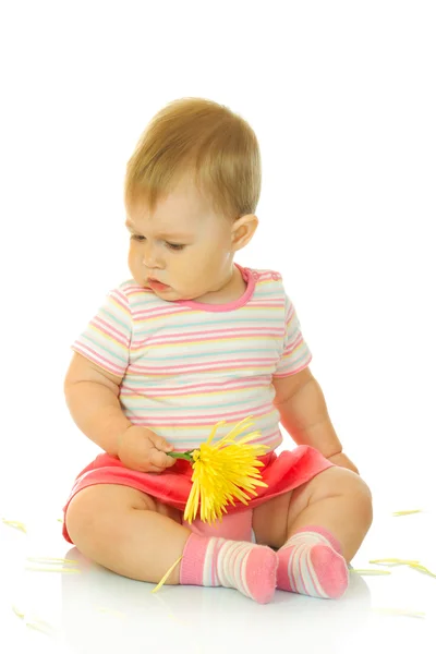 노란 꽃 # 8와 작은 아기 앉아 — 스톡 사진