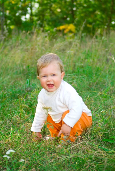 Small baby in wood — Stock Photo, Image