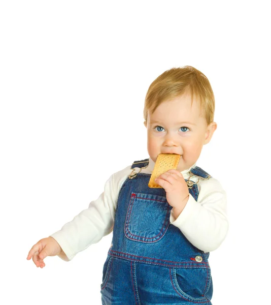 Pequeño bebé comiendo galleta aislado en whi —  Fotos de Stock