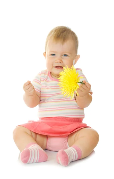 노란 꽃 # 8와 작은 아기 앉아 — 스톡 사진