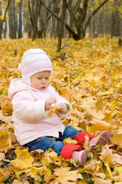 Small baby playing with yellow maple lea — Stock Photo, Image
