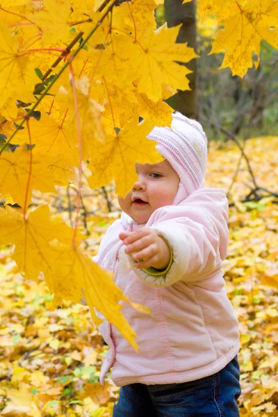 Kleine baby in bos — Stockfoto