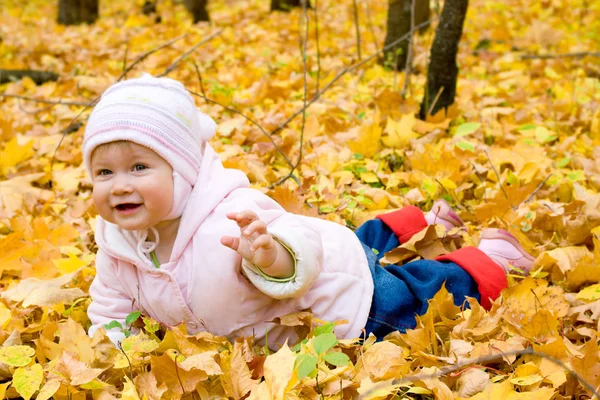 Small baby in autumn forest — Stock Photo, Image