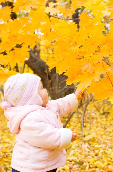 Bébé avec branche d'automne de l'arbre — Photo