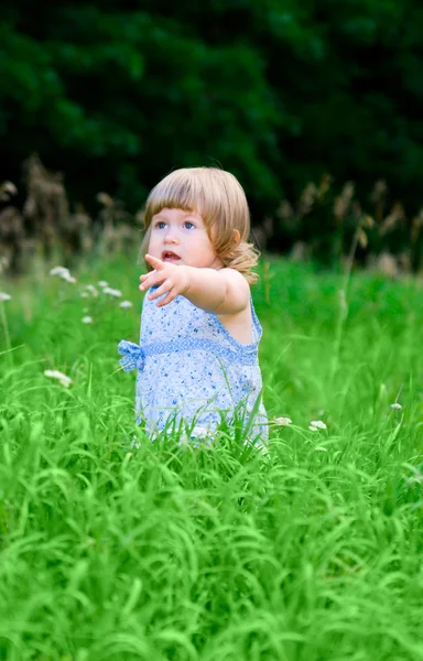 Small girl at summer forest — Stock Photo, Image