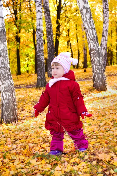 Flicka på hösten skogen — Stockfoto