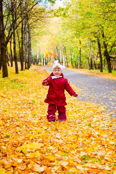 Little girl with yellow maple leaves — Stock Photo, Image
