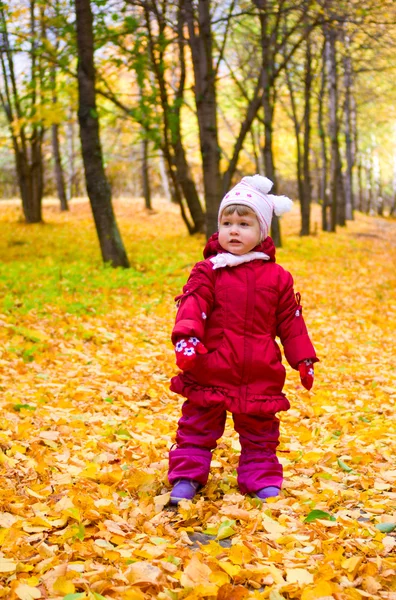 Girl on autumn forest — Stock Photo, Image
