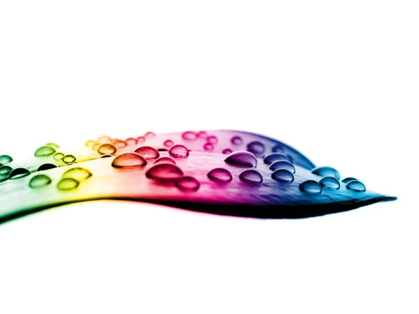 Drops on colorful leaf over white — Stock Photo, Image