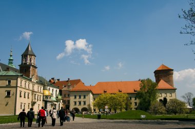 Wawel Katedrali