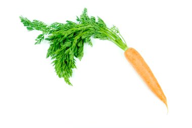Orange carrot clipart