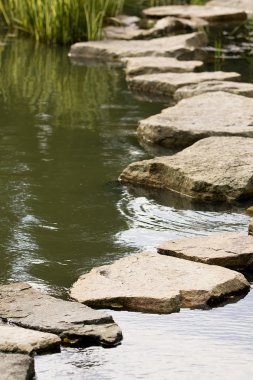 A path from the wet stones clipart