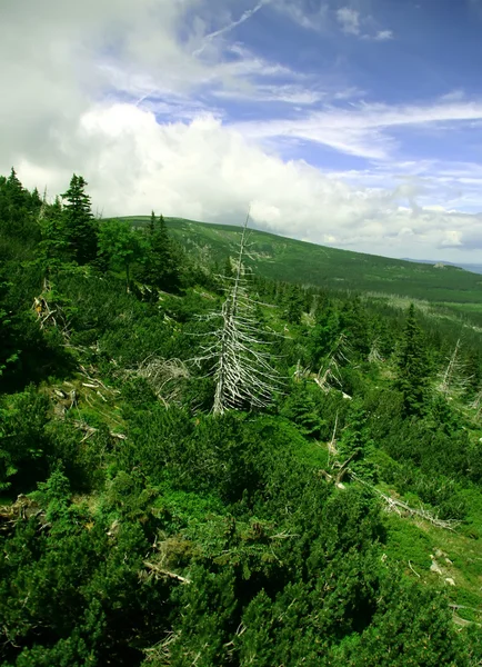 stock image Mountain landscape