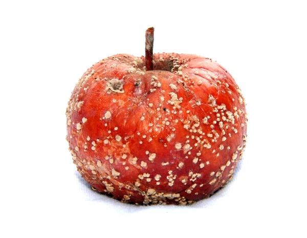 stock image Rotten apple