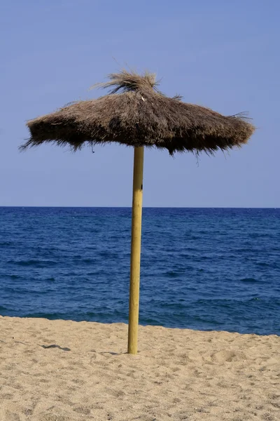 寂寞沙滩伞 — 图库照片