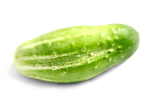 stock image Green cucumber