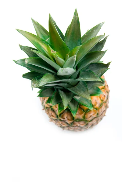 Listy ananasu — Stock fotografie