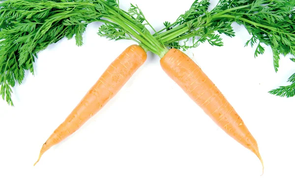 Zanahorias aisladas — Foto de Stock