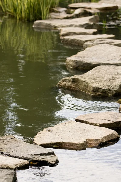 Een pad vanuit de natte stenen — Stockfoto