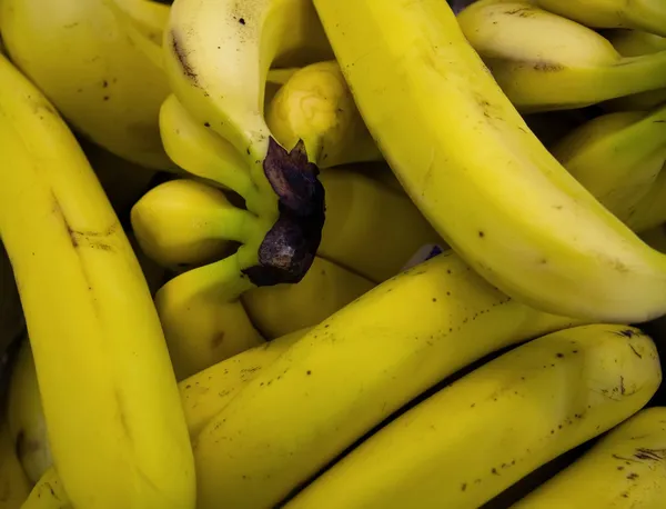 Bündel gelber Bananen. — Stockfoto