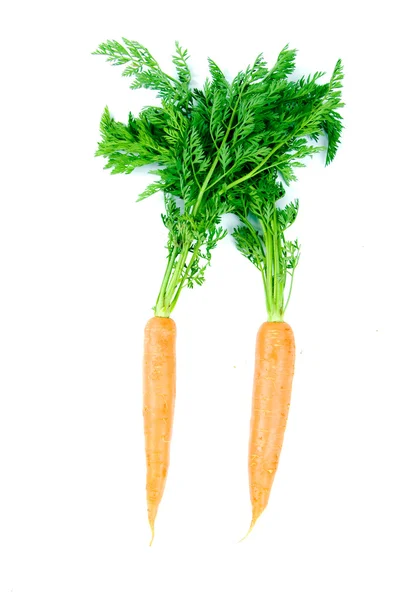 Orangen-Karotten — Stockfoto