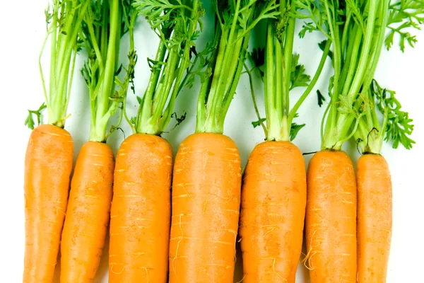 Помаранчевий морква — стокове фото